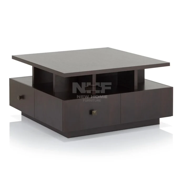 Daniella Sophisticated Coffee Table - Image 4